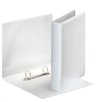 SEGREGATOR OFERTOWY LEITZ A4+/29mm 2RR BIAŁY