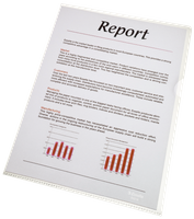 OFERTÓWKI ESSELTE "L" A4/105µm KRYSTALICZNE (100)