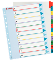 PRZEKŁADKI MYLAR ESSELTE A4 1-12