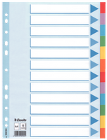 PRZEKŁADKI KARTONOWE ESSELTE A4 INDEX 12 KOLORÓW