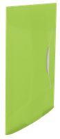 TECZKA Z GUMKĄ ESSELTE VIVIDA A4/15mm ZIELONA