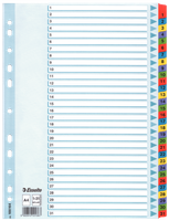 PRZEKŁADKI MYLAR ESSELTE A4 1-31