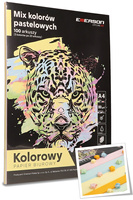 Papier Emerson A4/80g pastelowy 5 kolorów (5x20)
