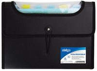 TECZKA PP STRIGO A4 12 PRZEKŁADEK FIOLETOWA