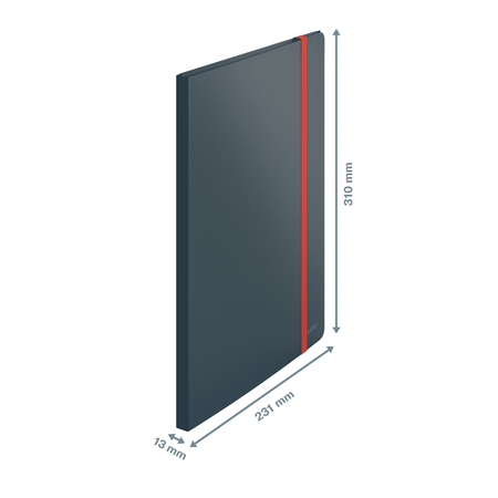 Album ofertowy Leitz Cosy A4/20k szary