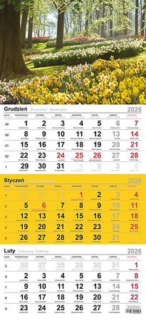 Kalendarz trójdzielny Michalczyk i Prokop 290x619mm