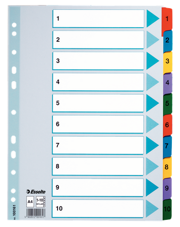 PRZEKŁADKI MYLAR ESSELTE A4 1-10