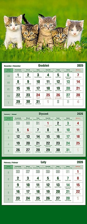 Kalendarz trójdzielny Michalczyk i Prokop 315x855mm