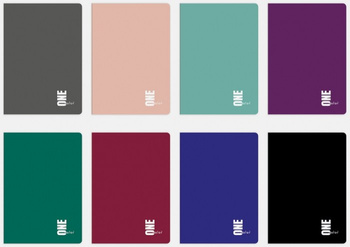 Zeszyt Interdruk One Color A5/60k kratka