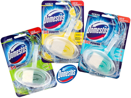 Zawieszka do Wc Domestos 35g Pine