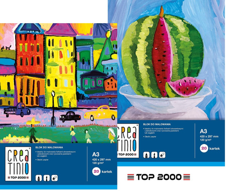 Blok do malowania Top 2000 Creatinio A3/20k biały