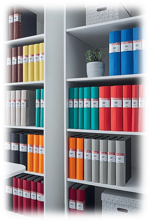 Segregator Esselte Jopa A4/60mm żółty