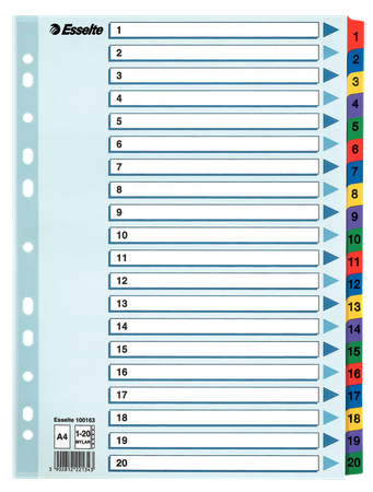 PRZEKŁADKI MYLAR ESSELTE A4 1-20