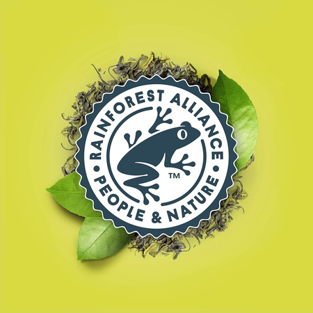 Herbata Lipton Balance Green Tea Citrus (100)