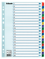 PRZEKŁADKI MYLAR ESSELTE A4 1-20