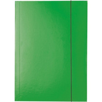 TECZKA KARTONOWA Z GUMKĄ ESSELTE A4/400g ZIELONA